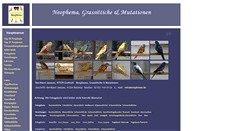 Desktop Screenshot of grassittiche.de